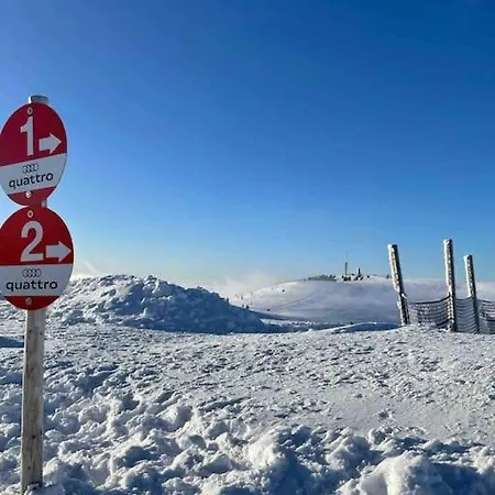 Apartment Tannenblick Naturidylle Mit Pool & Sauna