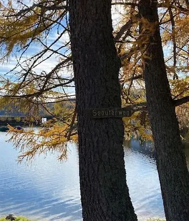 Tannenblick Naturidylle Mit Pool & Sauna Apartment Schluchsee