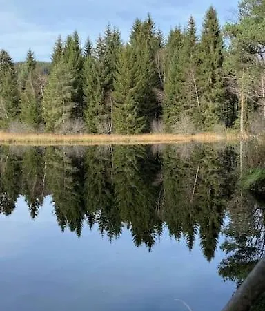 Tannenblick Naturidylle Mit Pool & Sauna Apartment Schluchsee