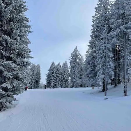 Tannenblick Naturidylle Mit Pool & Sauna