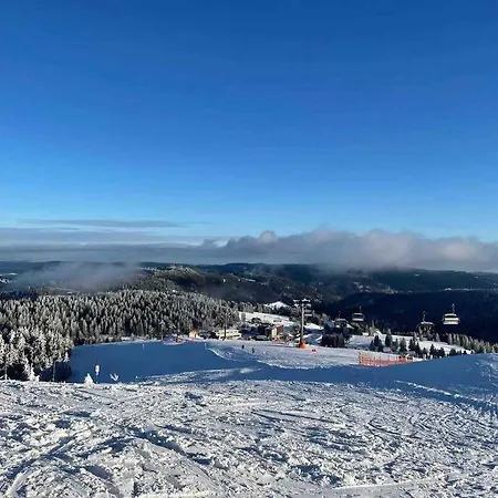 Tannenblick Naturidylle Mit Pool & Sauna Apartment
