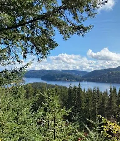 Tannenblick Naturidylle Mit Pool & Sauna *