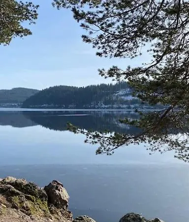 Tannenblick Naturidylle Mit Pool & Sauna Apartment *