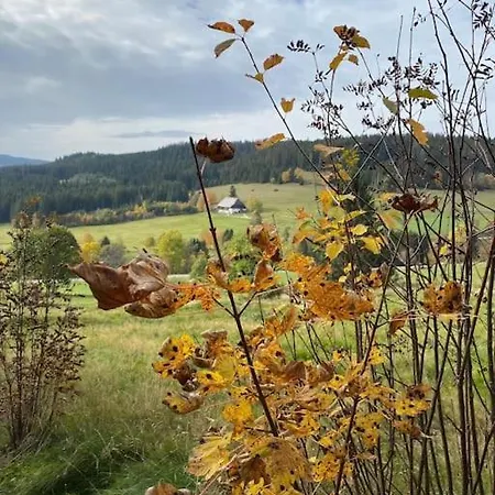 Tannenblick Naturidylle Mit Pool & Sauna Schluchsee