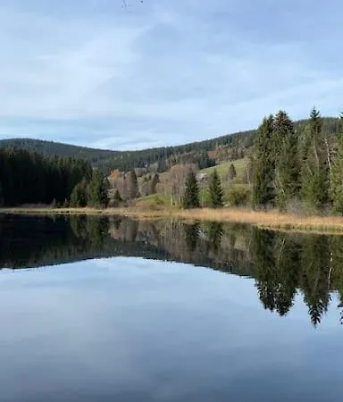 Tannenblick Naturidylle Mit Pool & Sauna