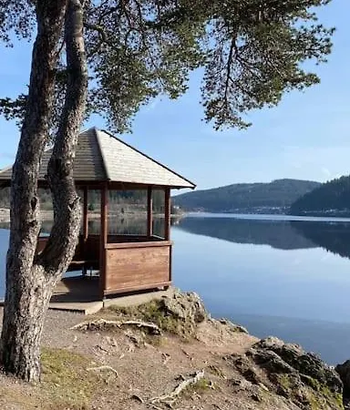 Apartment Tannenblick Naturidylle Mit Pool & Sauna