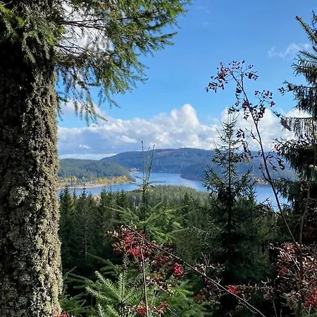 Apartment Tannenblick Naturidylle Mit Pool & Sauna Schluchsee