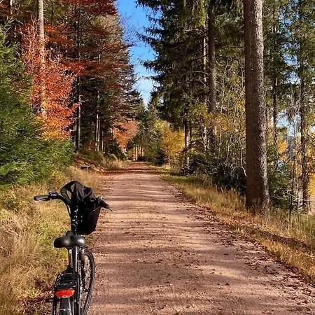 Apartment Tannenblick Naturidylle Mit Pool & Sauna *